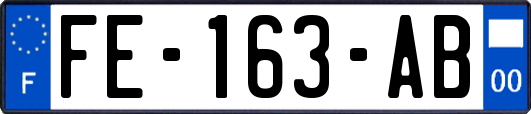 FE-163-AB