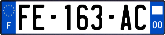 FE-163-AC
