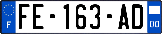 FE-163-AD