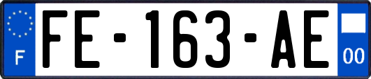 FE-163-AE