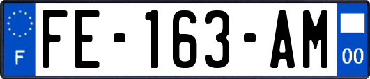 FE-163-AM