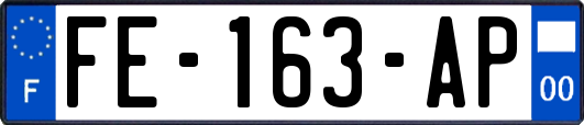 FE-163-AP