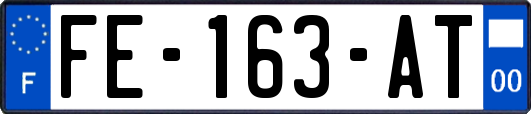 FE-163-AT
