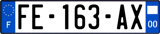 FE-163-AX
