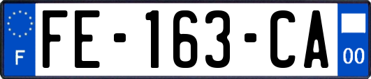 FE-163-CA