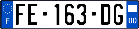 FE-163-DG