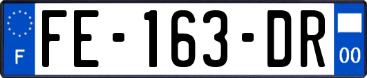 FE-163-DR