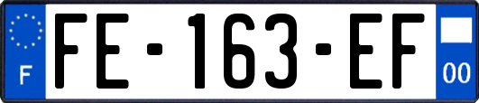 FE-163-EF