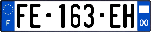 FE-163-EH