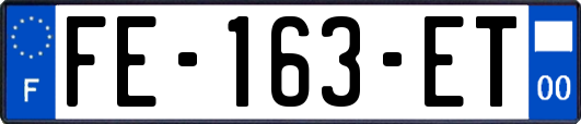 FE-163-ET