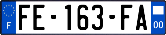 FE-163-FA