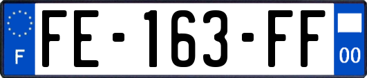 FE-163-FF