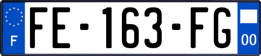 FE-163-FG