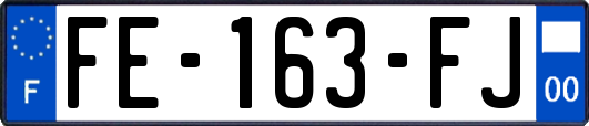 FE-163-FJ
