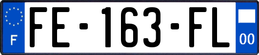 FE-163-FL