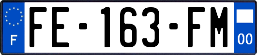 FE-163-FM