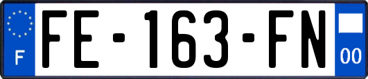 FE-163-FN