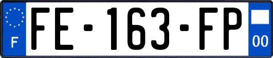FE-163-FP