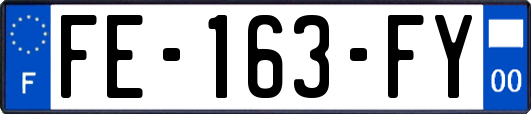 FE-163-FY