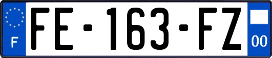 FE-163-FZ