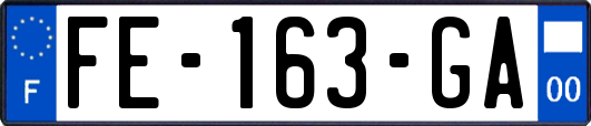 FE-163-GA