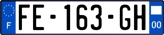 FE-163-GH