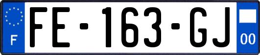 FE-163-GJ