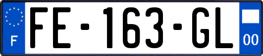 FE-163-GL