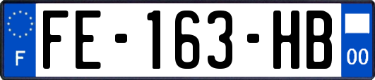 FE-163-HB