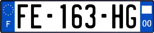 FE-163-HG