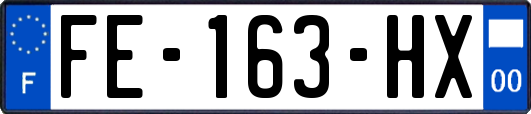 FE-163-HX