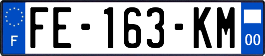 FE-163-KM