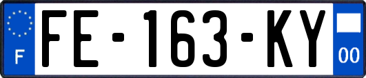 FE-163-KY