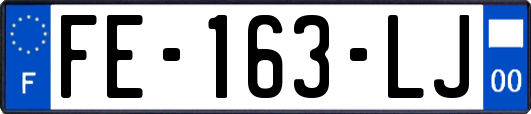 FE-163-LJ