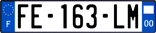 FE-163-LM