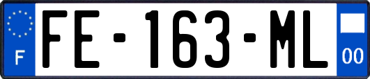 FE-163-ML