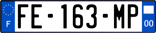 FE-163-MP