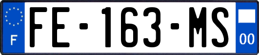 FE-163-MS