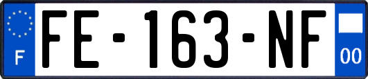 FE-163-NF