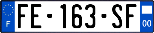 FE-163-SF