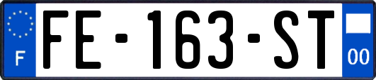 FE-163-ST