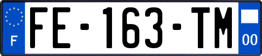 FE-163-TM