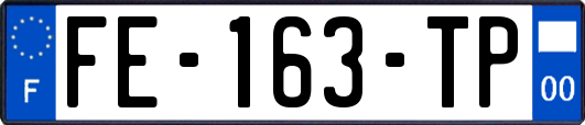 FE-163-TP