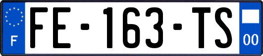 FE-163-TS