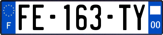 FE-163-TY