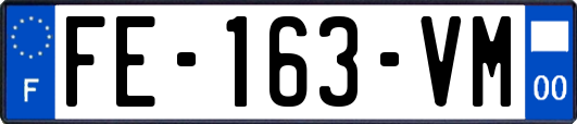 FE-163-VM
