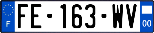 FE-163-WV