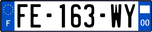 FE-163-WY