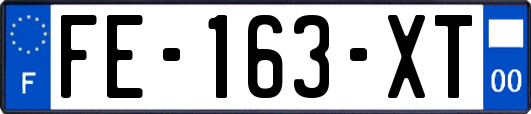 FE-163-XT