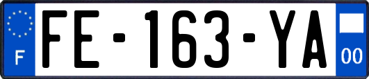 FE-163-YA